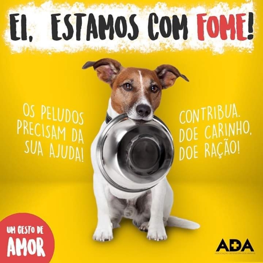 Pet Coletivo da(o) ADA ONG DE LONDRINA