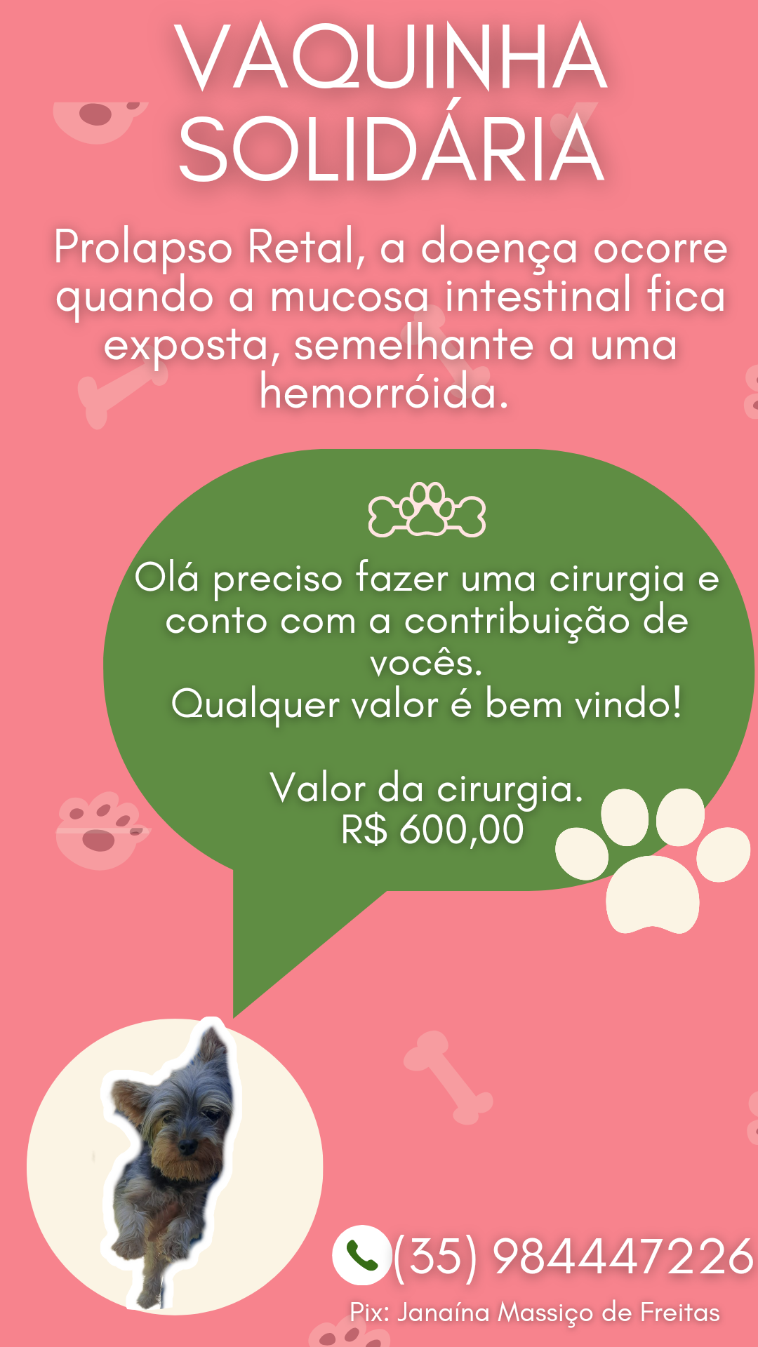 Pet Coletivo da(o) Suzy