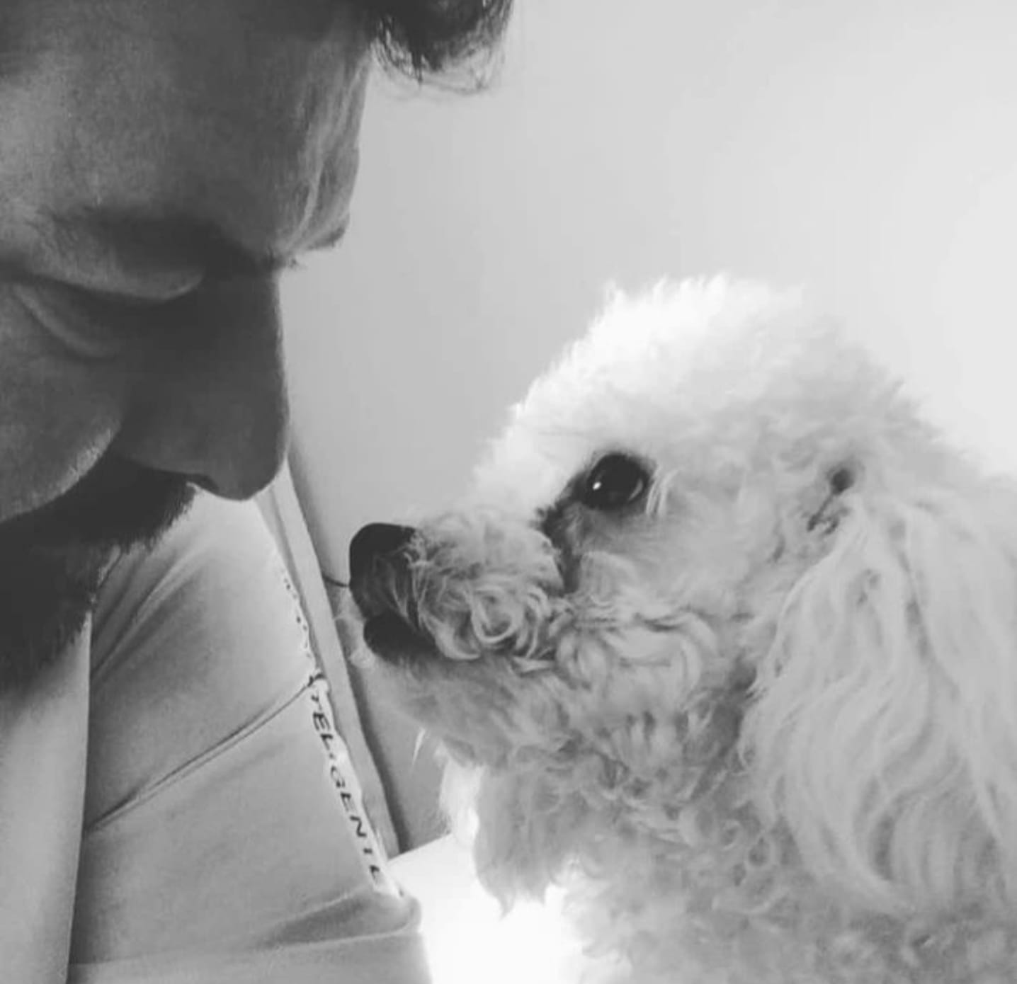 Pet Coletivo da(o) Pipoca Aguiar