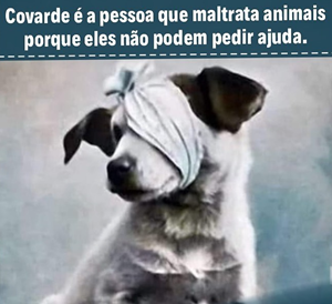 Vaquinha do(a) Vakinha