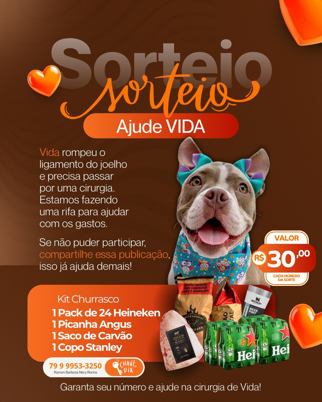 Pet Coletivo da(o) Vida 