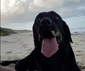 Vaquinha do(a) Valentina 