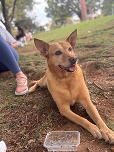 Vaquinha do(a)  Ajude a Antonella a continuar lutando pela vida ??