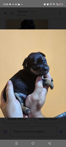 Vaquinha do(a) Lucky