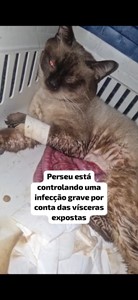 Vaquinha do(a) Perseu 