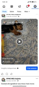 Vaquinha do(a) Spike II 