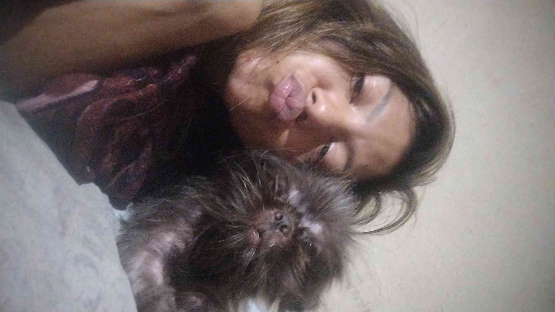 Pet Coletivo da(o) Mel Ísis 