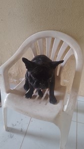 Vaquinha do(a) Billy