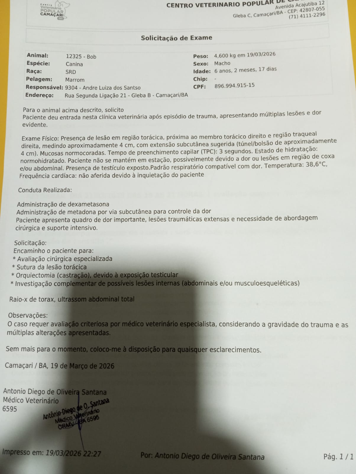 Pet Coletivo da(o) Paçoca