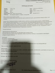 Vaquinha do(a) Paçoca