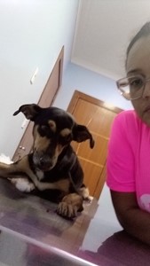 Vaquinha do(a) Toddy