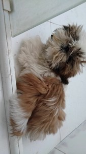 Rifa do(a) lucy