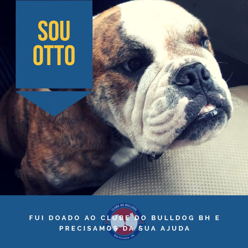 Rifa do(a) /Uploads/Usuarios/Rifas/2018/November/051e0971-8ae6-e811-8607-000d3a7053aa/3353_95b024dc8c53434dbf55f51290c191ce.jpg