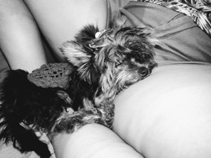 Rifa do(a) Mel