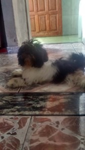 Rifa do(a) Zoe