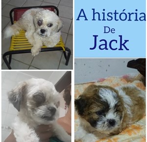 Rifa do(a) Jack
