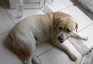 Rifa do(a) nick