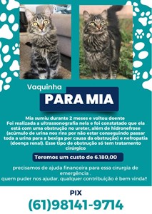 Rifa do(a) Miá
