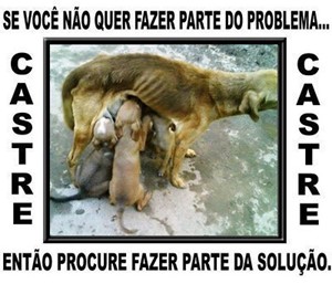 Rifa do(a) PET RIFA
