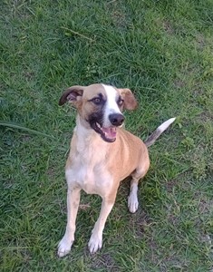 Rifa do(a) Emília