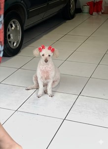 Rifa do(a) Maria Manuela 