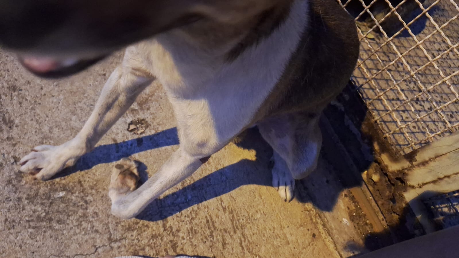 Rifa do(a) /Uploads/Usuarios/Rifas/2025/September/09f02c6e-af95-f011-a9c0-c7be3fcadafc/3611_IMG20250919WA0221.jpg