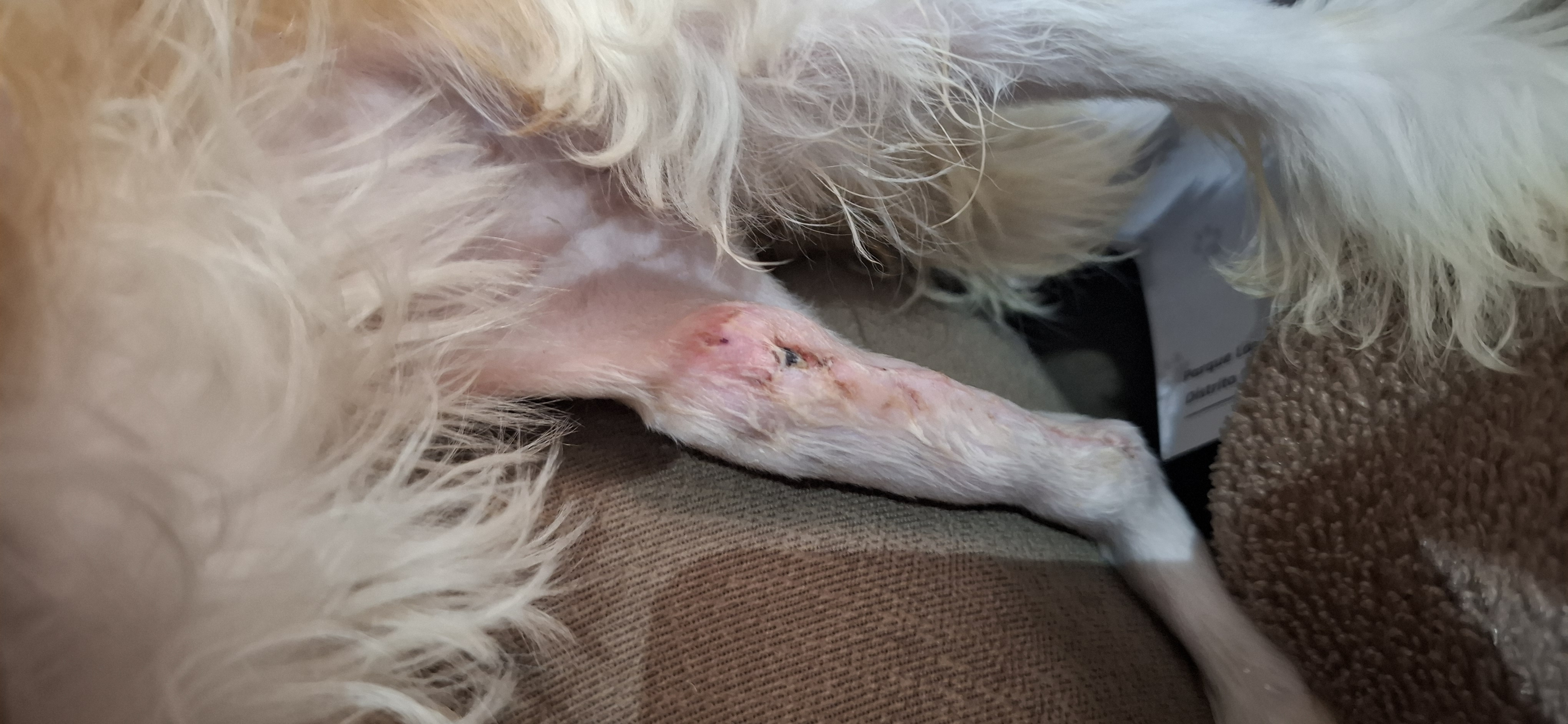 Rifa do(a) /Uploads/Usuarios/Rifas/2026/February/2addf49a-f401-f111-a9c2-ea93c57523d2/2636_20260204_145650.jpg