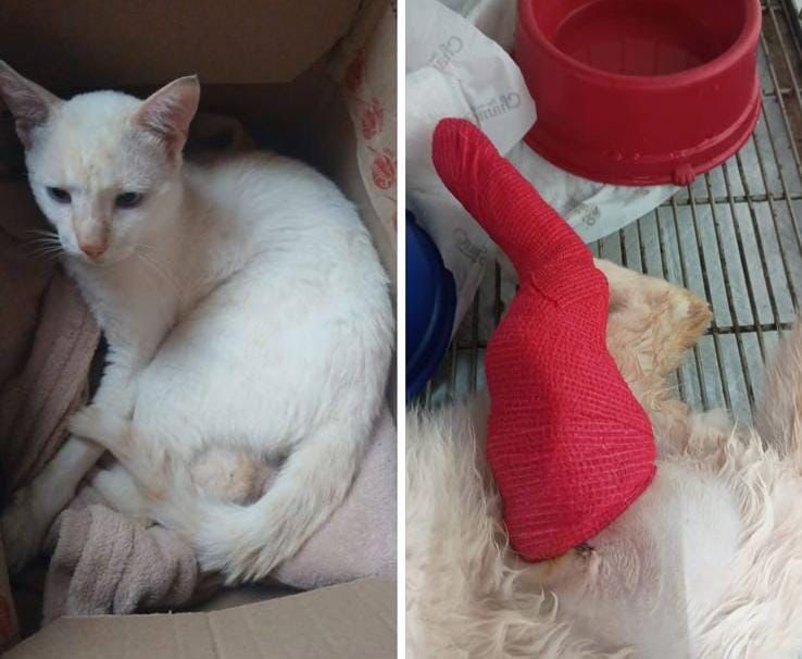 Rifa do(a) /Uploads/Usuarios/Rifas/2026/February/6c55a15b-220d-f111-a9c2-ea93c57523d2/6560_IMG20260218WA0067.jpg