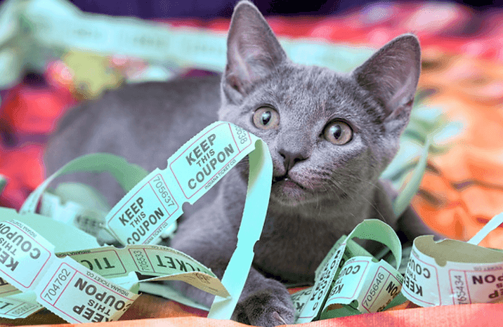 Rifa pet para arrecadar dinheiro para animal